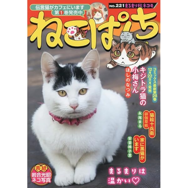 ねこぱんち 夏の花火と涼みネコ号 (にゃんCOMI) | アンソロジー |本